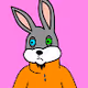 Random-Rabbit