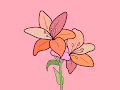 Lily 2