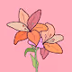 Lily 2