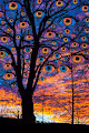 Black Eye Trees