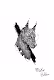 HandDrawingStyle