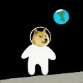 Doge Doger Dogest