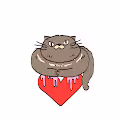 Sit on your HEART