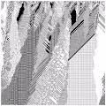 cellular automata 72