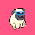 PugPortraits