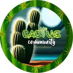 Winter topic with CactusBoom