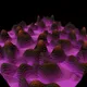 GENERATIVE ART (Surface)