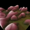 GENERATIVE ART (Surface)