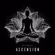 ASCENSION by Steev