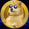 Tesla Doge V3