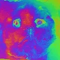 PolyGlitch