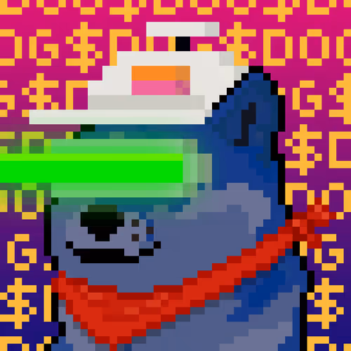 First DOGE in THE SPACE