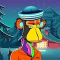 This collection is shifted (Check description)