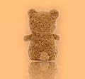 Baby Bears VIP