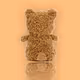 Baby Bears VIP