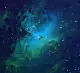 Buy your star