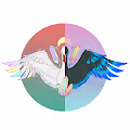 CrystalSwan