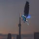 Bionic Bird