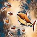 Sand Bar Sharks