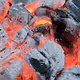 To Star Dust