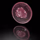 Magna Swap Coins