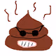 CryptoPoo Collection