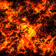 Fire Dragon Fight Dystopian Mosaic