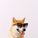 Love Shiba