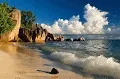 NON-FUNGIBLE CLOSE SEA