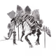 Fossils