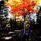 D3UC3 - PhOtO