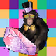 limited Crypto Zootei