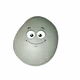 Pet Rocks!
