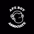 VIP ASSOCIATES PUB PASS - old