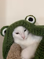 momoichiky