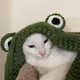 momoichiky