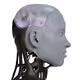 Ameca Humanoid Robot