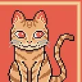 Curry The Kitty