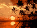 Scenic Collection#1