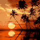 Scenic Collection#1