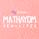 MATHAYOM sea lifes