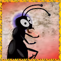 Average Antz