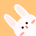 Everything is Bunny