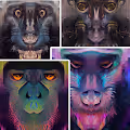 AI Painted Drill Monkeys