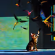 Cats Restyle Art