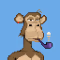 PixelPunks de Macacos