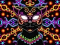 Cat-trina