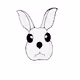 NRabbit