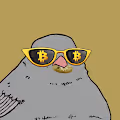 CryptoSparrow