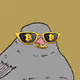 CryptoSparrow